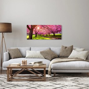A virágzó cseresznye képe, Hurd Park, Dover, New Jersey (120x50 cm)