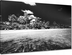 Képek 120x80 Nyári strandok a Fülöp-szigeteken