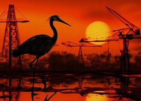 Poszter 35x25cm Alkonyat Ipari Daru