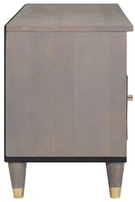 TV szekrény Szürke és Arany 100 x 33.5 x 46 cm Tömör mangófa