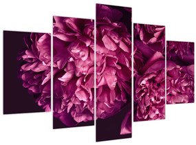 Kép - Csokor pünkösdi rózsa (150x105 cm)