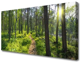 Vászonkép nyomtatás Forest Path Lane Nature 125x50 cm