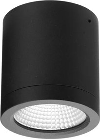 AZZARDO 6025 CONYON Hengeres Mennyezeti Lámpa LED IP54