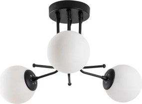 Daisy-147-AV3