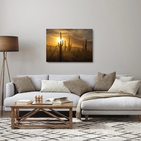 Üveg kép - Saguaro kaktuszok (70x50 cm)