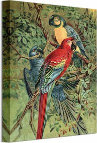 Vintage Parrots Papagájok vászonkép 30x40 cm