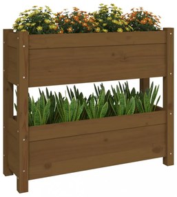 mézbarna tömör fenyőfa növénytartó 77x25x66 cm