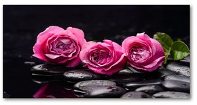 Akrilkép Rózsaszín rózsa oah-77048055