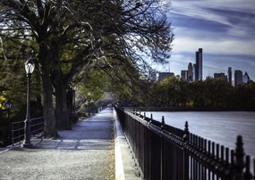 Poszter 42x29,7cm New York sétány, Assaf Frank