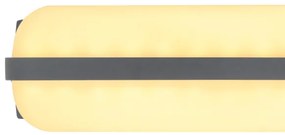 Globo 34174W1 - LED Kültéri fali lámpa HONNA LED/20W/230V IP54