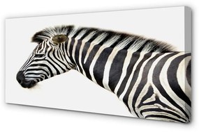 Canvas képek zebra 100x50 cm