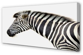 Canvas képek zebra 125x50 cm