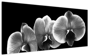 Egy orchidea virág képe (120x50 cm)