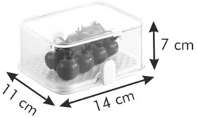 Tescoma Purity egészséges doboz hűtőszekrénybe, 14 x 11 cm
