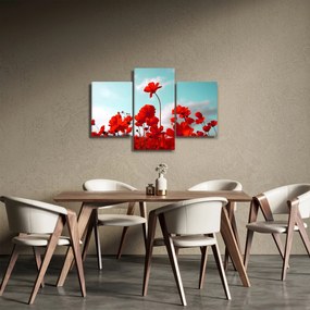 Fényes piros virágokkal rendelkező mező képe (90x60 cm)