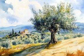 Vászonkép Canvas Tájkép Olaszország Toszkána Fa Olíva Villa 60x40