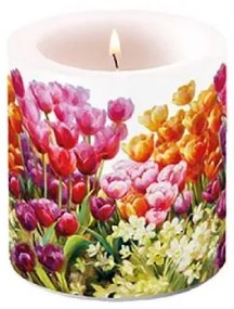 Tulipános átvilágítós gyertya 8x7,5 cm Tulips