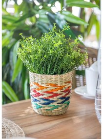 Színes tengerifű kaspó - Kitchen Craft