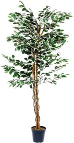 PLANTASIA Műnövény fikusz 160 cm