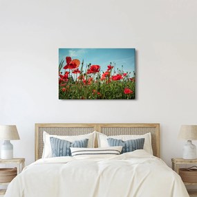 Kép - Pipacsos mező (90x60 cm)
