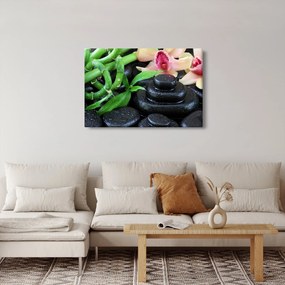 Kép - Kövek és orchideák (90x60 cm)