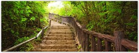 Fotótapéta flizelina 250x93 Lépcsők az erdőbe