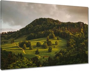 Festmények 100x70 Tájkép Pieniny