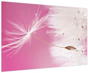 Kép - Makró virága (90x60 cm)