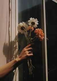 Poszter 70x100cm Sugár és szirmok