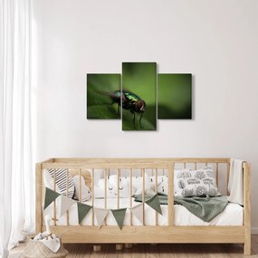Kép - Légy (90x60 cm)
