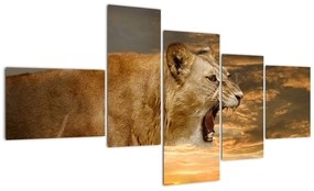 Kép - ordít, oroszlán (150x85cm)