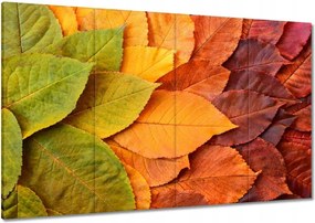 Vászonkép 120x80 Őszi színes levelek Levelek az ősz színeiben