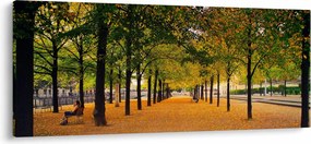 Egy kép az őszi fák sikátorából (120x50 cm)