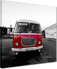 Vászonkép 30x30 Vörös szarvas uborka