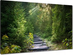 Festmények 120x80 Tájkép