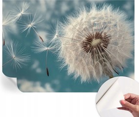 Öntapadós Dekoratív Fotótapéta Hálószobába Könnyű éteriség 208x146