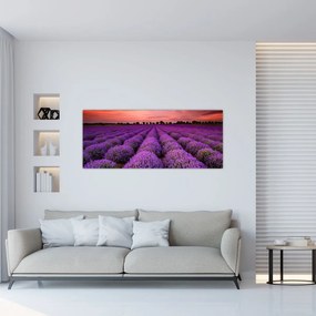 Kép - Levendula mező (120x50 cm)