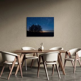 A fák éjjel képe (70x50 cm)
