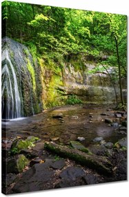 Vászonkép 30x40 Trópusi erdő vízesés