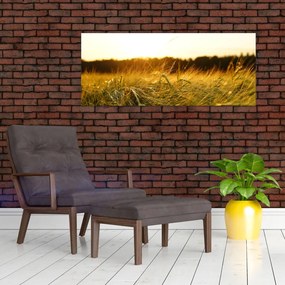 Harmatos fű képe (120x50 cm)