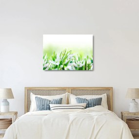 Kép - Hóvirág (üvegen) (70x50 cm)