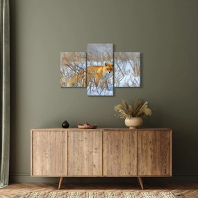 Kép - Róka (90x60 cm)