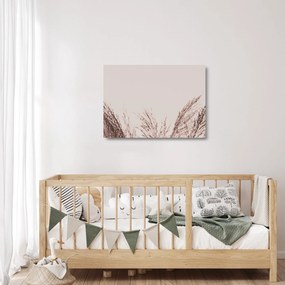 Üveg kép - Szárított fű (70x50 cm)