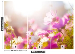 Fotótapéta százszorszép virágok 104x70 cm