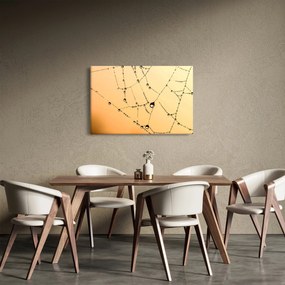 Egy harmatos pókháló képe (90x60 cm)