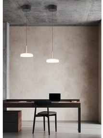 Fekete-fehér-aranyszínű LED dimmelhető függőlámpa üveg búrával ø 22 cm Celeste – Trio