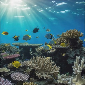 Stílusos Dekoratív Fotótapéta Flizelin Víz alatti világ 250x250 Ragasztó