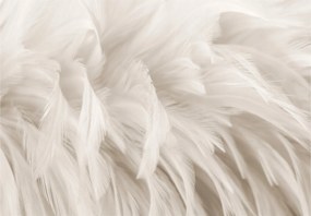 Fotótapéta Fehér tollak finomság és könnyedség a falon 254x184 +ragasztó