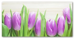 Akrilkép Lila tulipánok oah-78755149