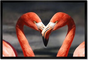 Poszterek keretben 60x40 Szerelmes pelikánok